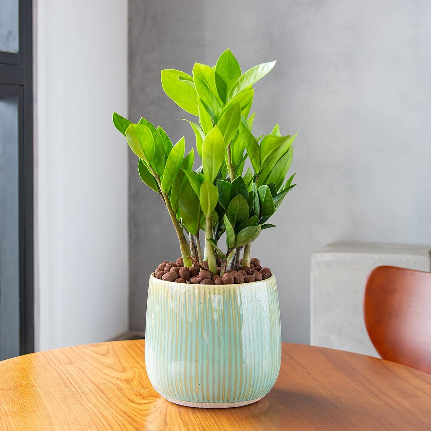 Bolas Leca orgánicas para plantas 4-16mm drenaje reutilizable