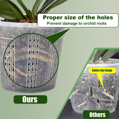 Maceta orquídea 6.1pulg con platillo 6 Pzas plástico interior