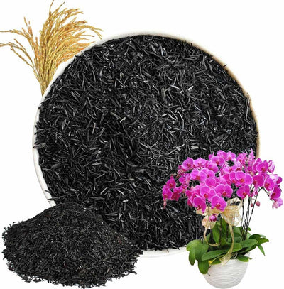 Carbón activado para plantas interior biochar 2.2lb