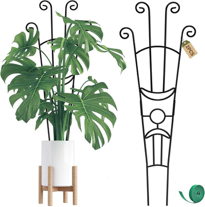 Estacas soporte Monstera 32.6pulg enrejado metal Pothos 2uds