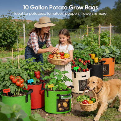 Bolsas cultivo 10gal pack 5 con ventana y asas
