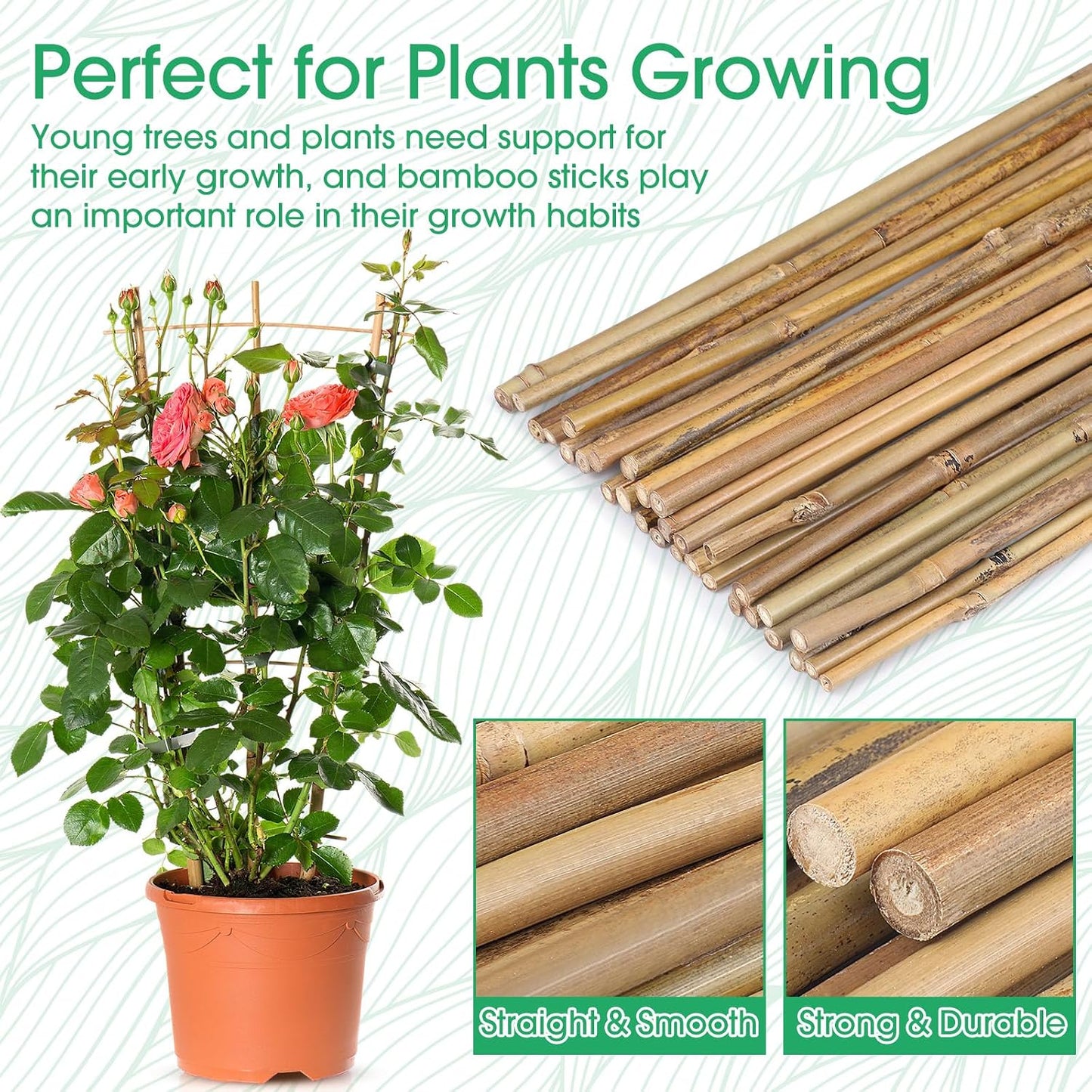 Estacas bambú para plantas trepadoras 30uds 1.35pies