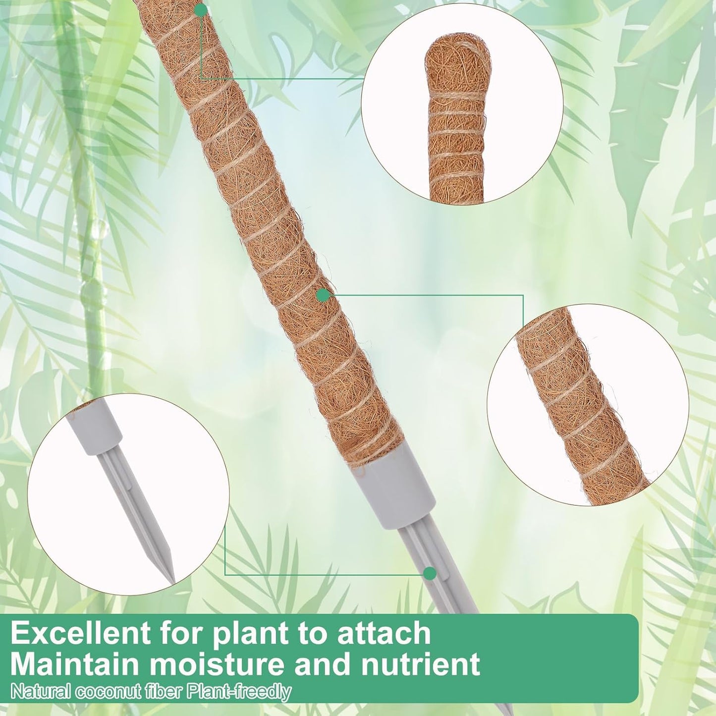 2 Postes Musgo para Monstera 28pulg Fibra Coco