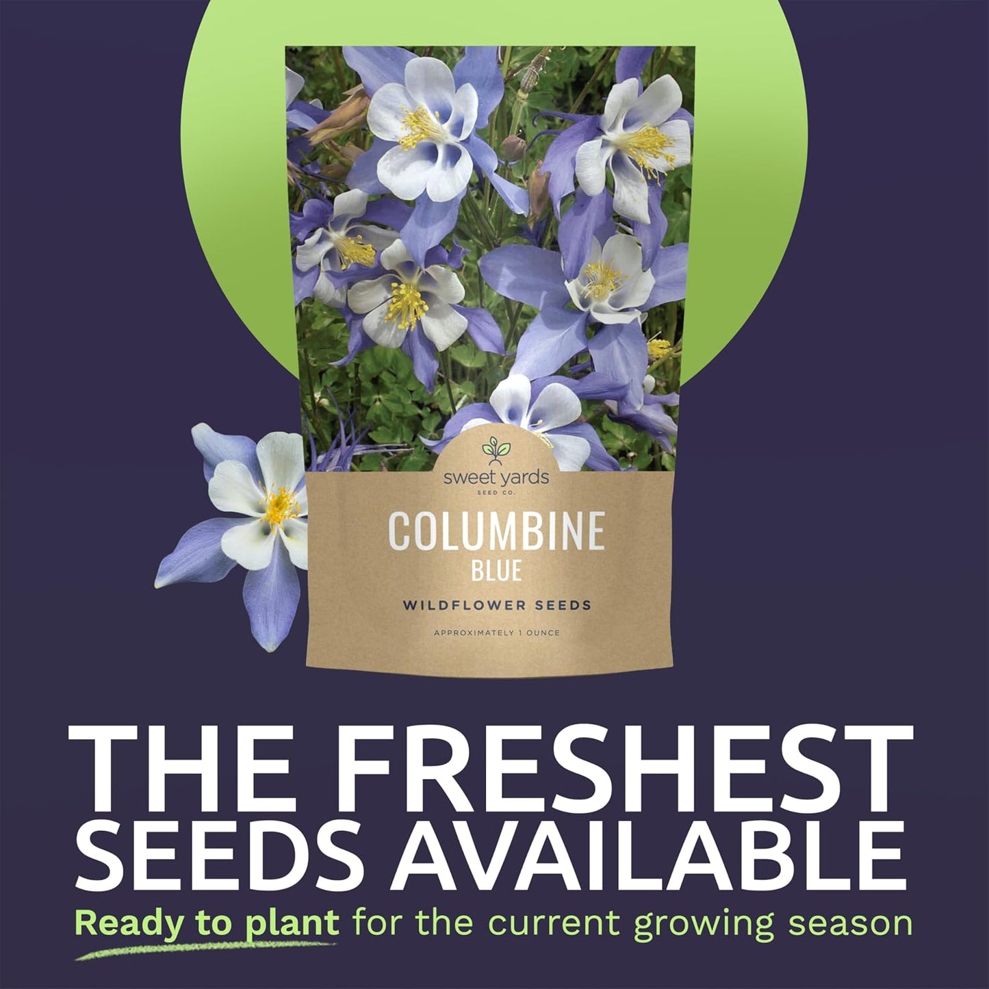 Paquete 1oz semillas Aquilegia caerulea 24000 unidades