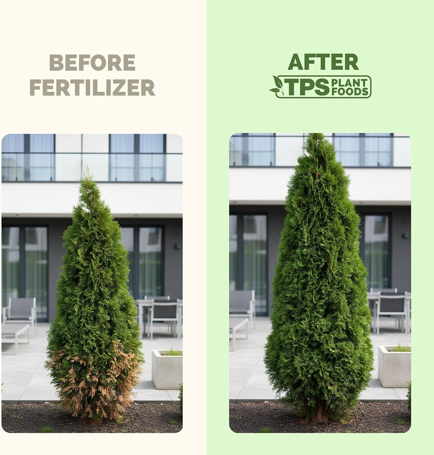 Fertilizante líquido enebro para árboles 8oz TPS