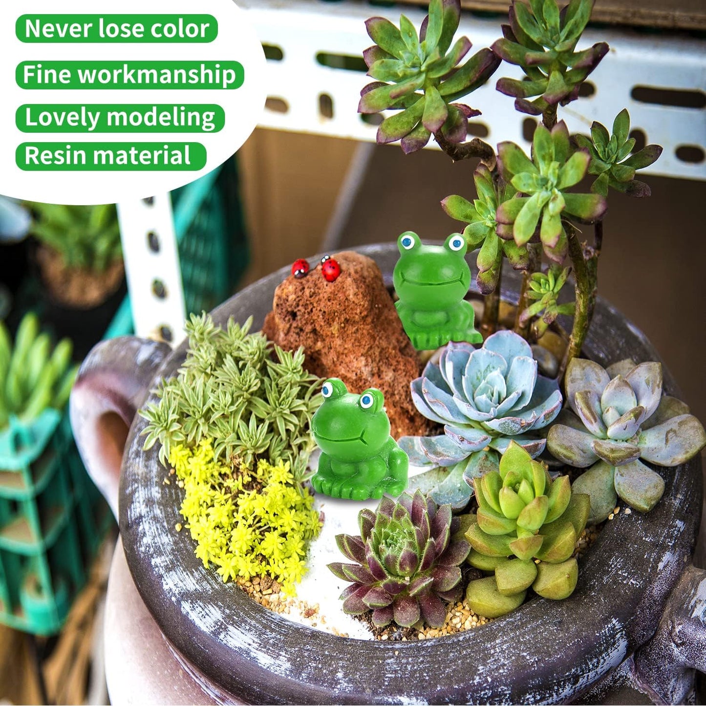 50 Pzas Ranas Plástico Decoración Jardín