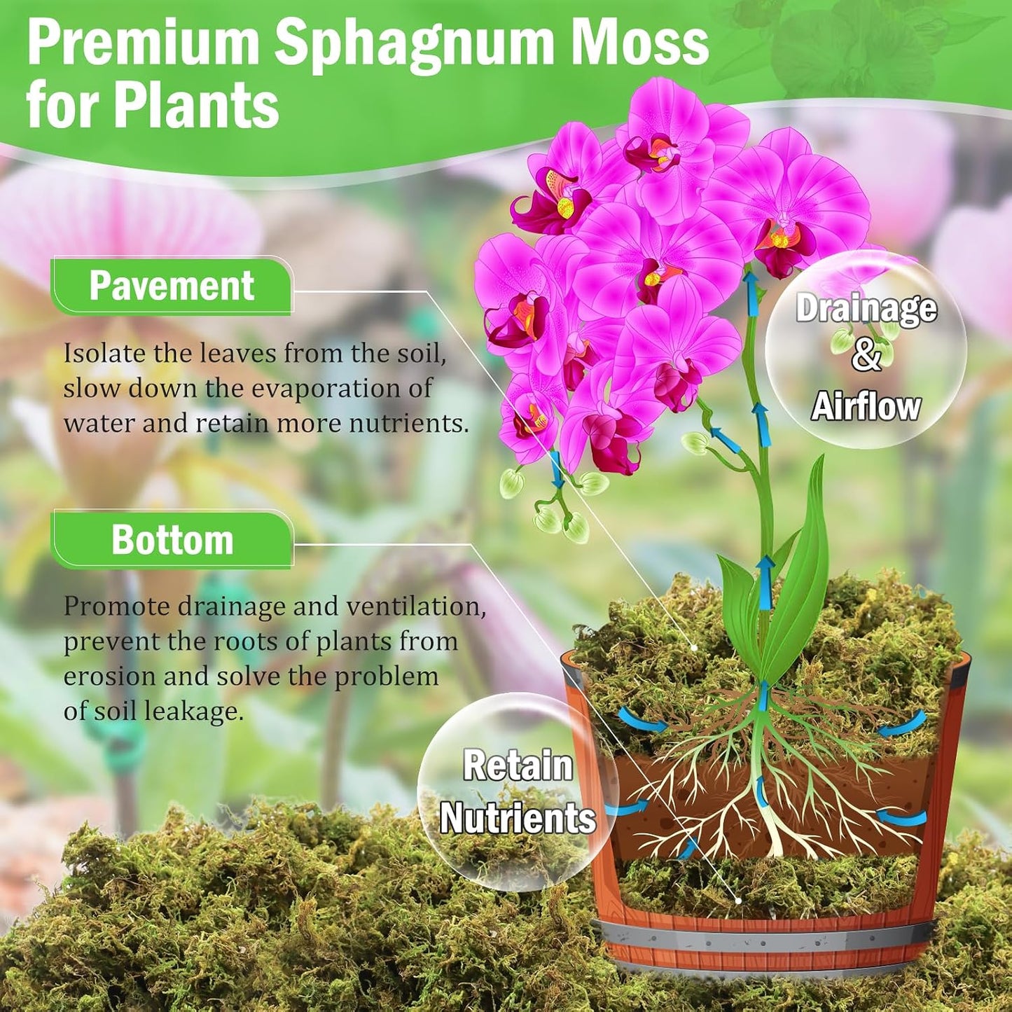 Musgo esfagnum 7oz para plantas en maceta 10qt