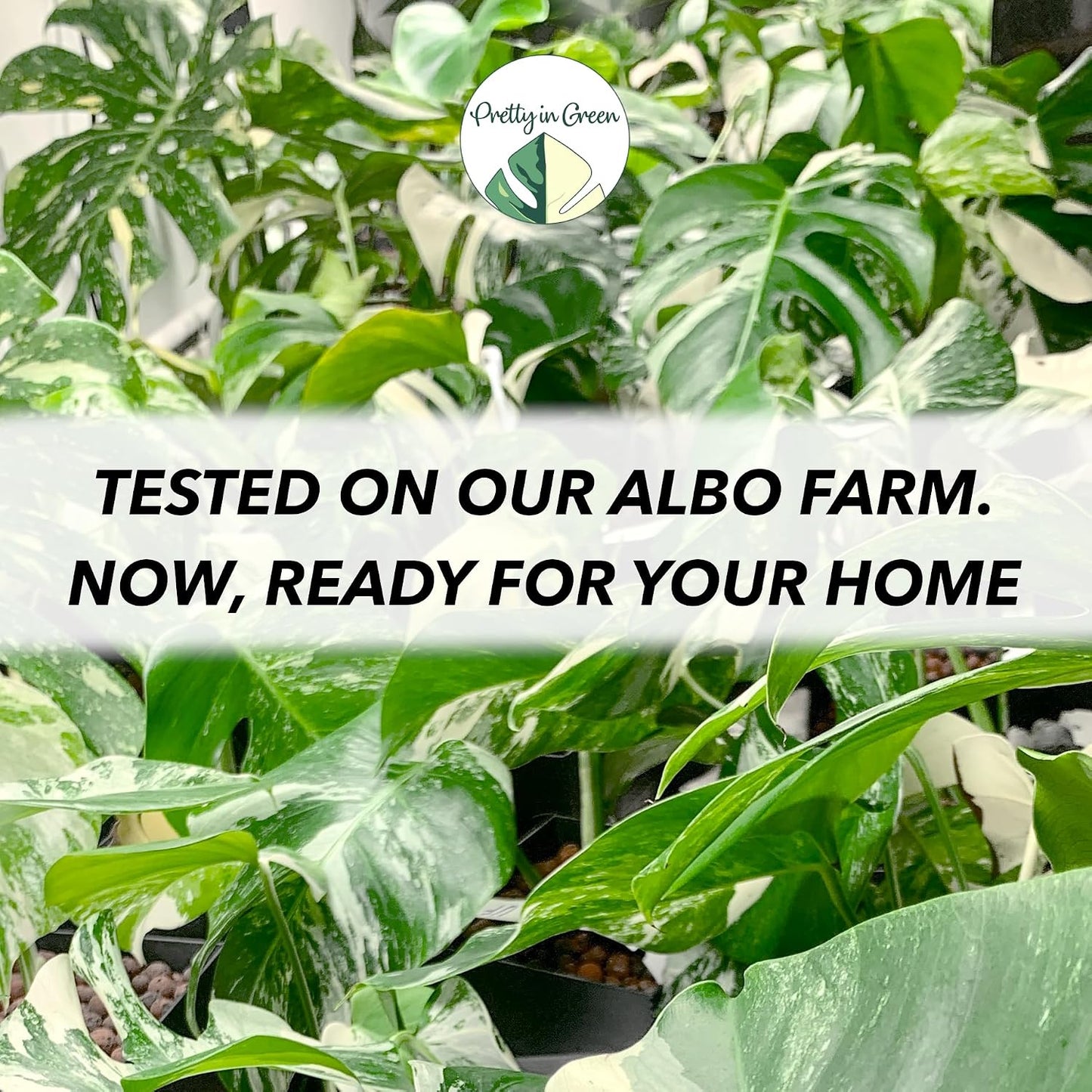 Fertilizante líquido Leaf LUX para plantas 40gal