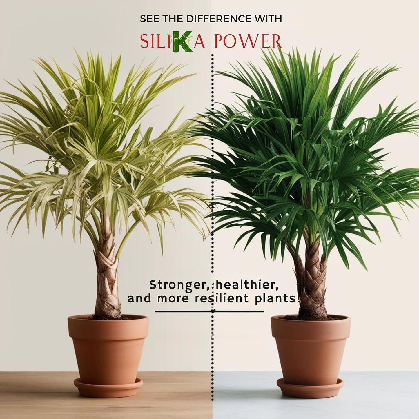 Fertilizante líquido premium para plantas 8oz