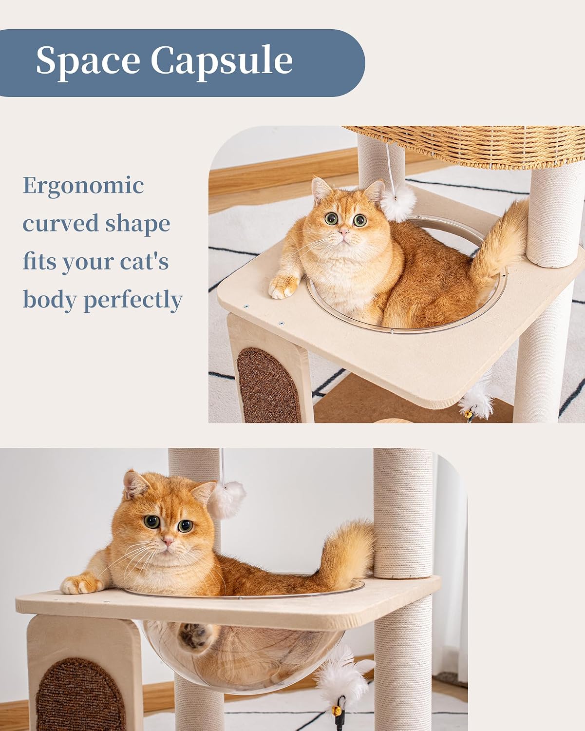 Árbol para gatos grandes con perchas y juguetes