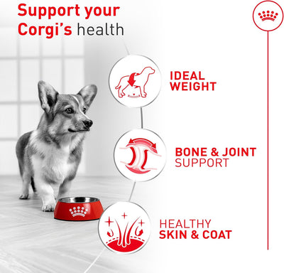 Alimento seco corgis adultos 7lb digestión control peso