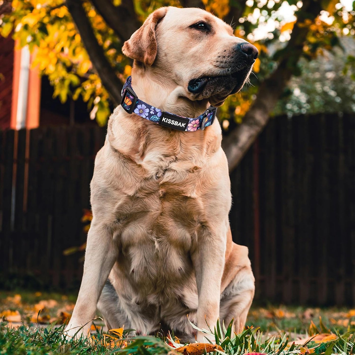 Collar floral suave ajustable para perra cachorro S