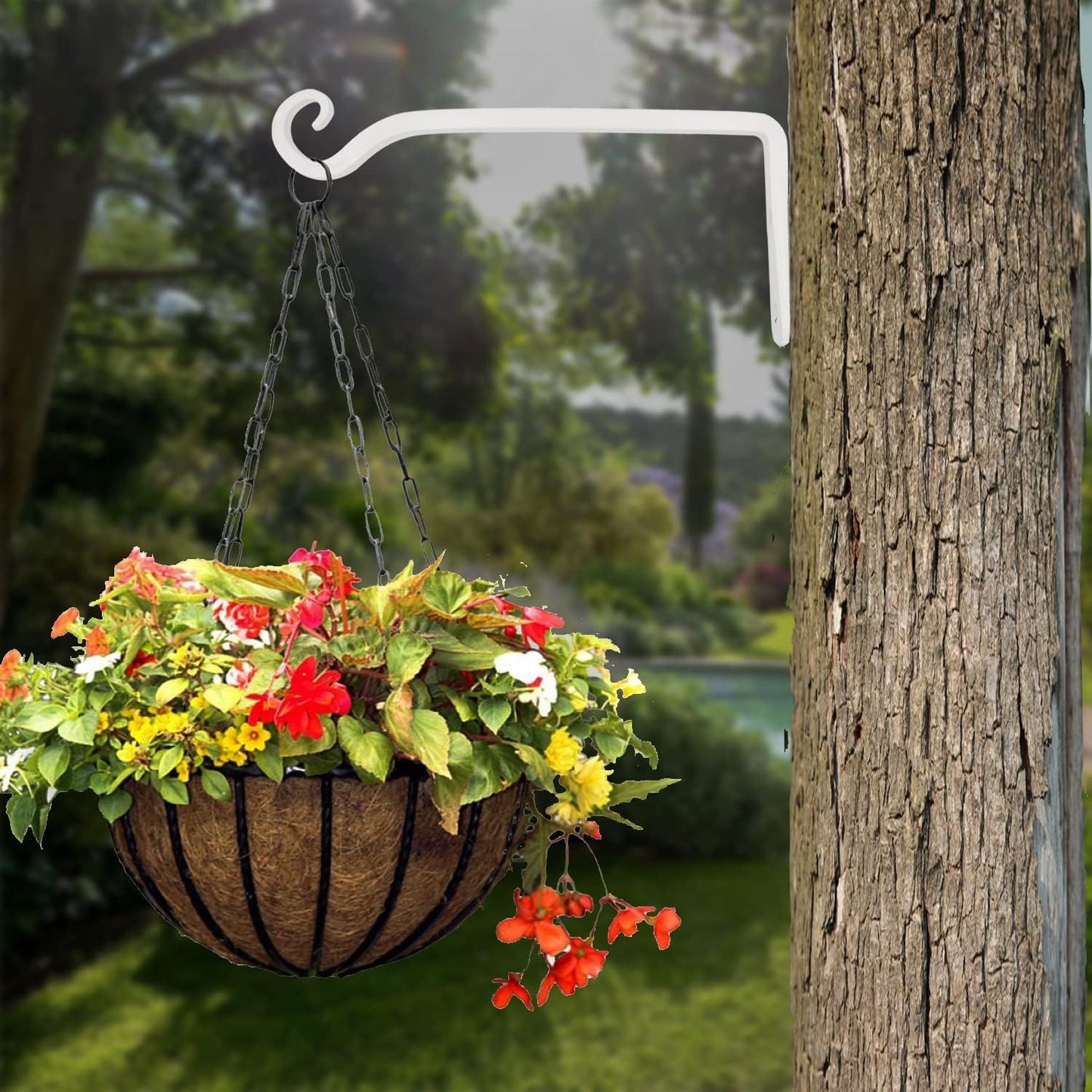 Soporte plantas colgantes 10pulg ganchos decorativos