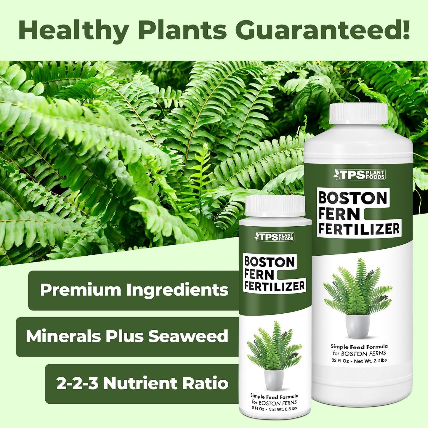 Fertilizante liquido helecho Boston Dallas Compacta 8oz