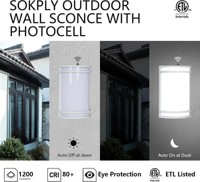 Luz porche 10pulg 15W 1200lm IP65 ajustable