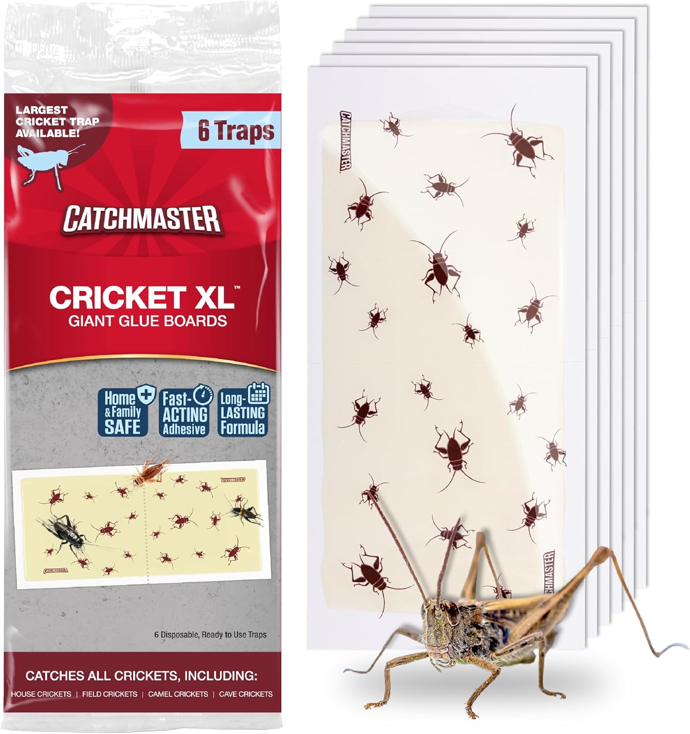 Trampas pegajosas para insectos interior paquete 6