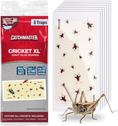 Trampas pegajosas para insectos interior paquete 6