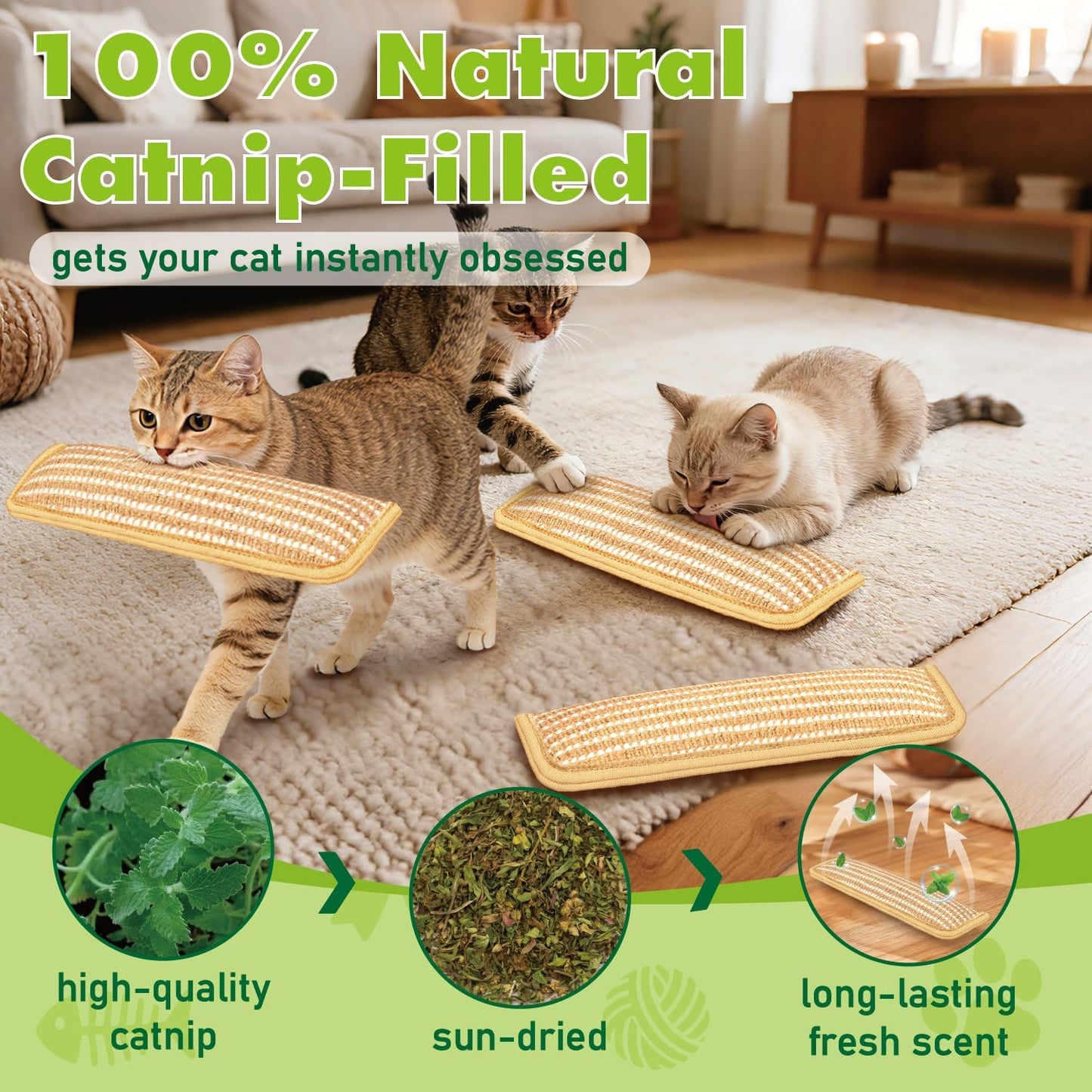 3 Pack Juguetes Gato con Sonido Rizado Sisal para Rascar y Morder