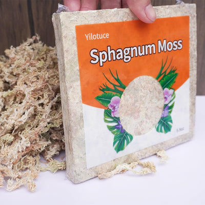 Musgo esfagnum comprimido para orquídeas 5.5oz