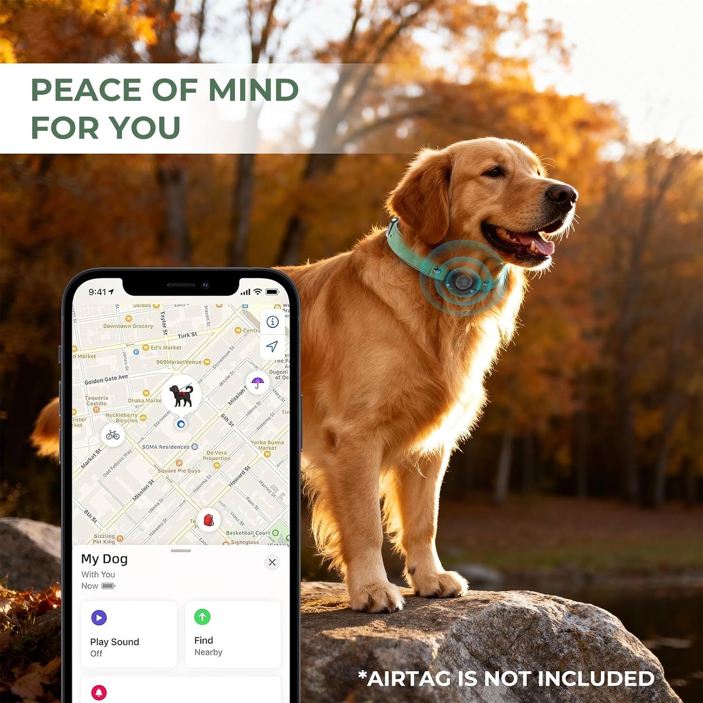 Collar perro AirTag cuero impermeable GPS duradero verde