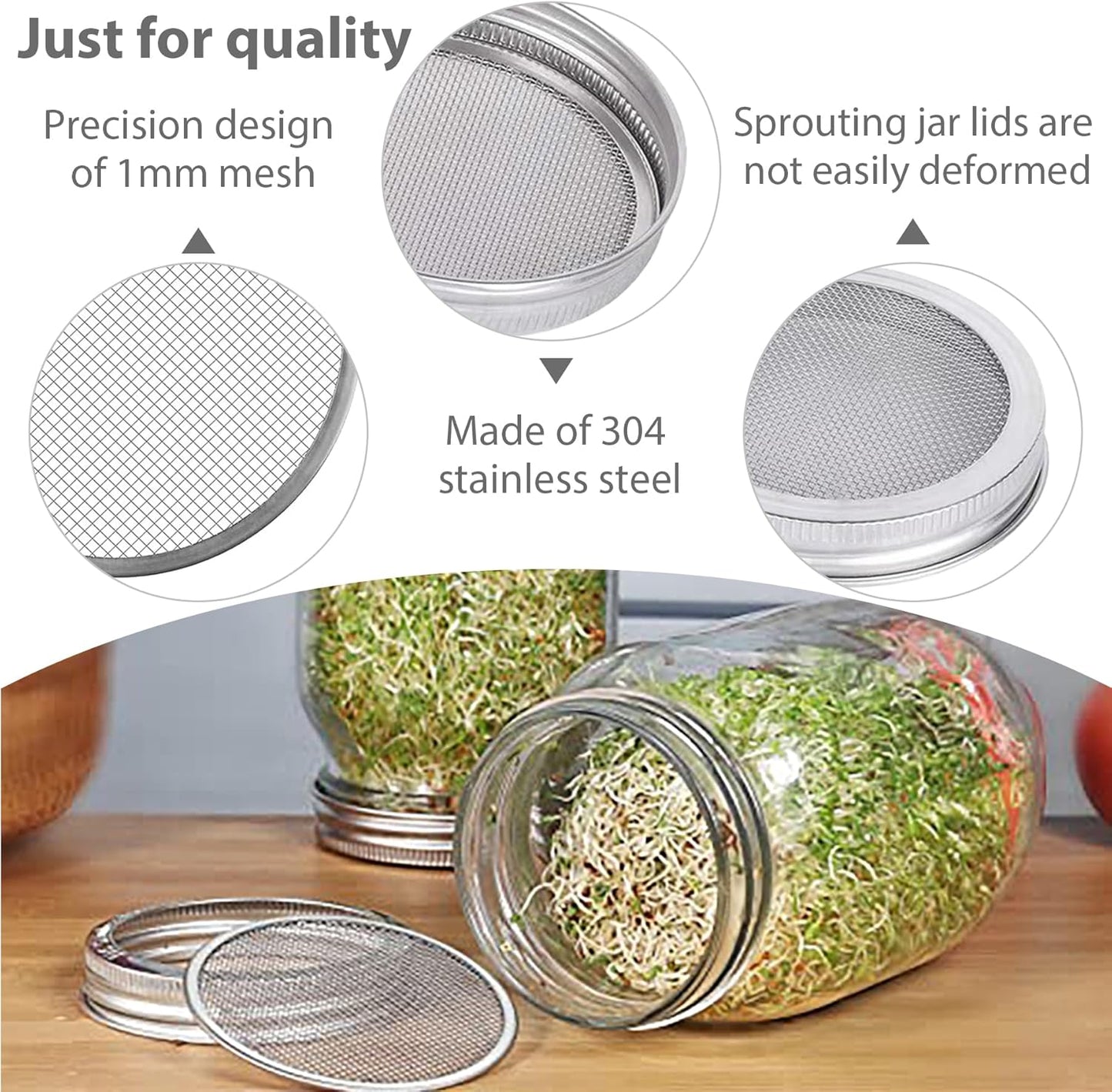 Kit tapa tarro germinación 4 filtros acero inox Mason