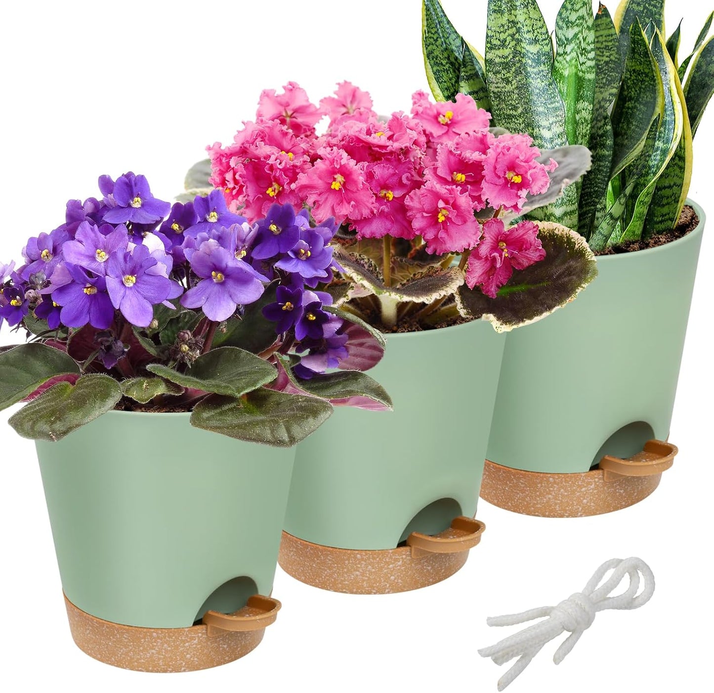 Maceta plástico riego automático 6pulg violeta suculentas