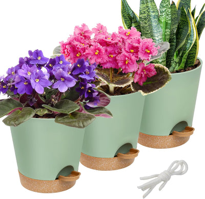 Maceta plástico riego automático 6pulg violeta suculentas