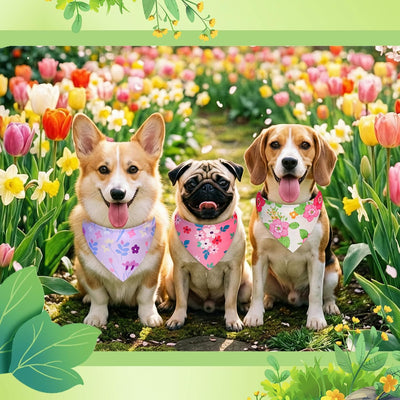 50 Bandanas Florales para Perros Tallas S M L Primavera