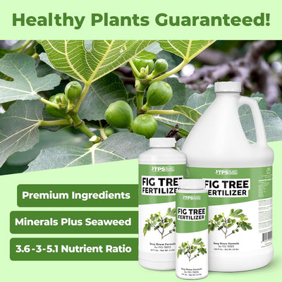 Fertilizante líquido para higuera 8oz desarrollo raíces y hojas