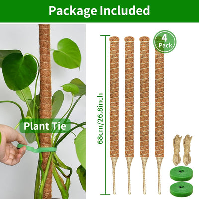 4 Postes Musgo 26.8pulg Soporte Plantas Trepadoras