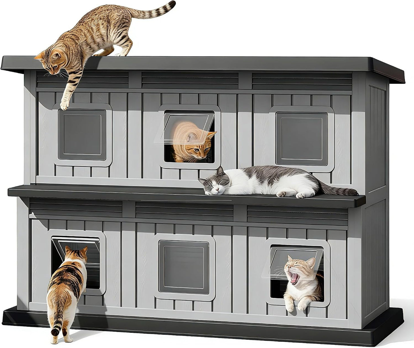 Casa gatos exterior 2 pisos resina resistente puerta escape