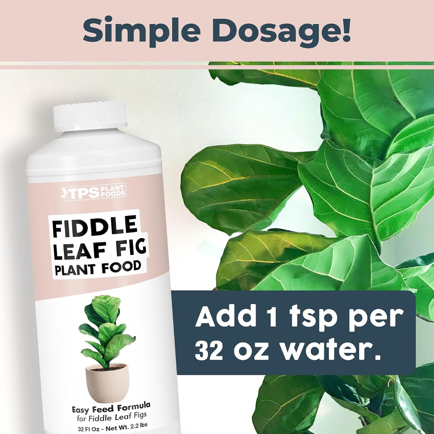 Alimento vegetal líquido para Fiddle Leaf Fig 32oz