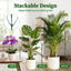 10 Estacas Apilables Monstera para Plantas Trepadoras y Macetas