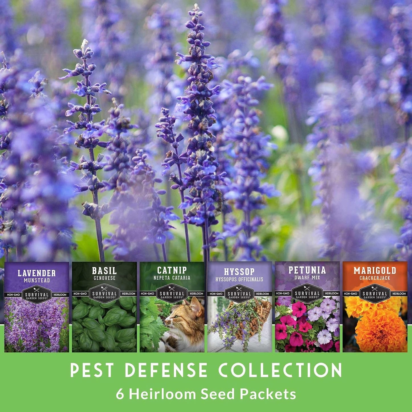 6 Pack Semillas Lavanda Hisopo Caléndula Petunia Albahaca