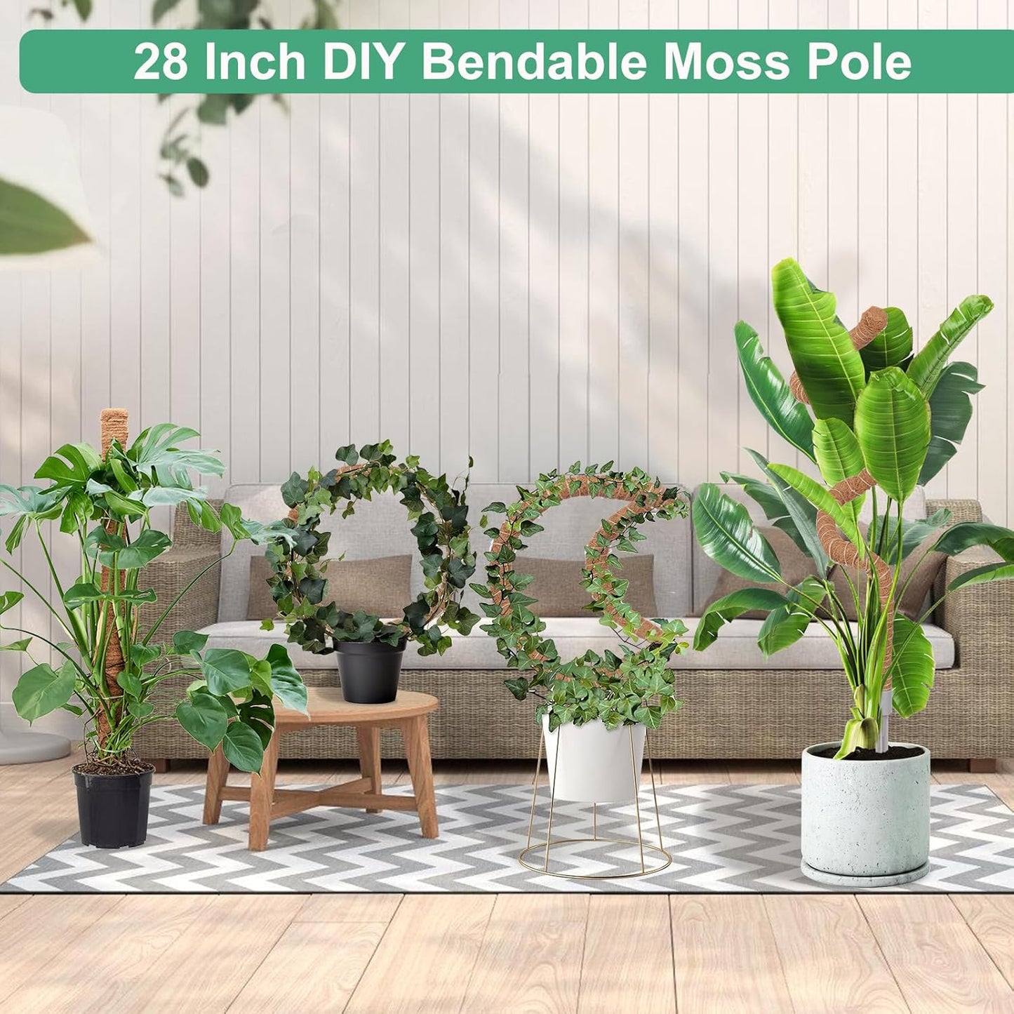 2 Postes Musgo para Monstera 28pulg Fibra Coco