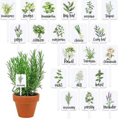 20 Etiquetas Acrílicas para Plantas con Nombres de Hierbas