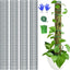 4 Postes Musgo Sphagnum 40pulg para Monstera