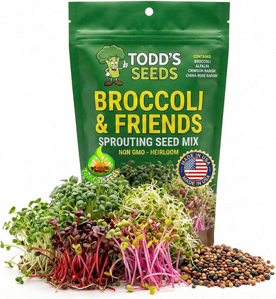 Mezcla semillas germinadoras brócoli trébol rábano alfalfa 1/2lb