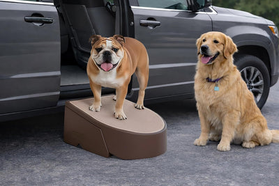 Escalera rampa para mascotas ligera resistente marrón oscuro