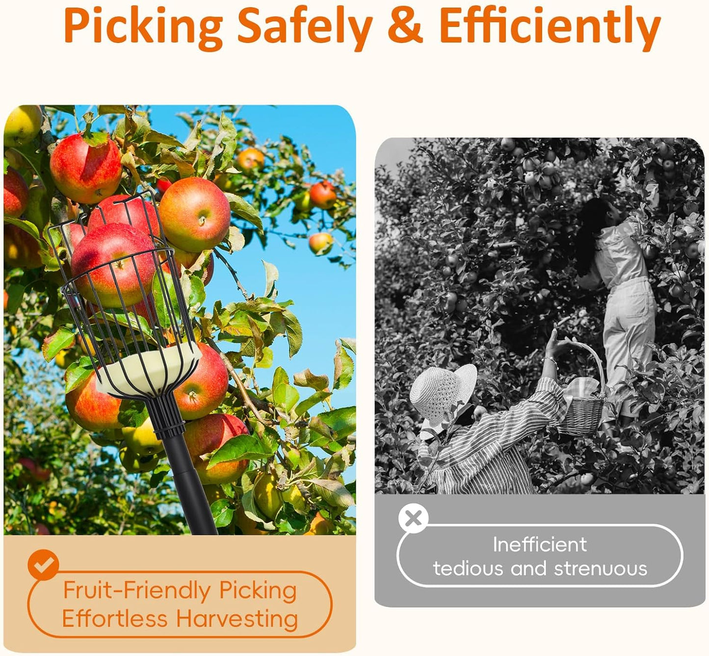 Herramienta recogedor frutas 9.6ft canasta ajustable