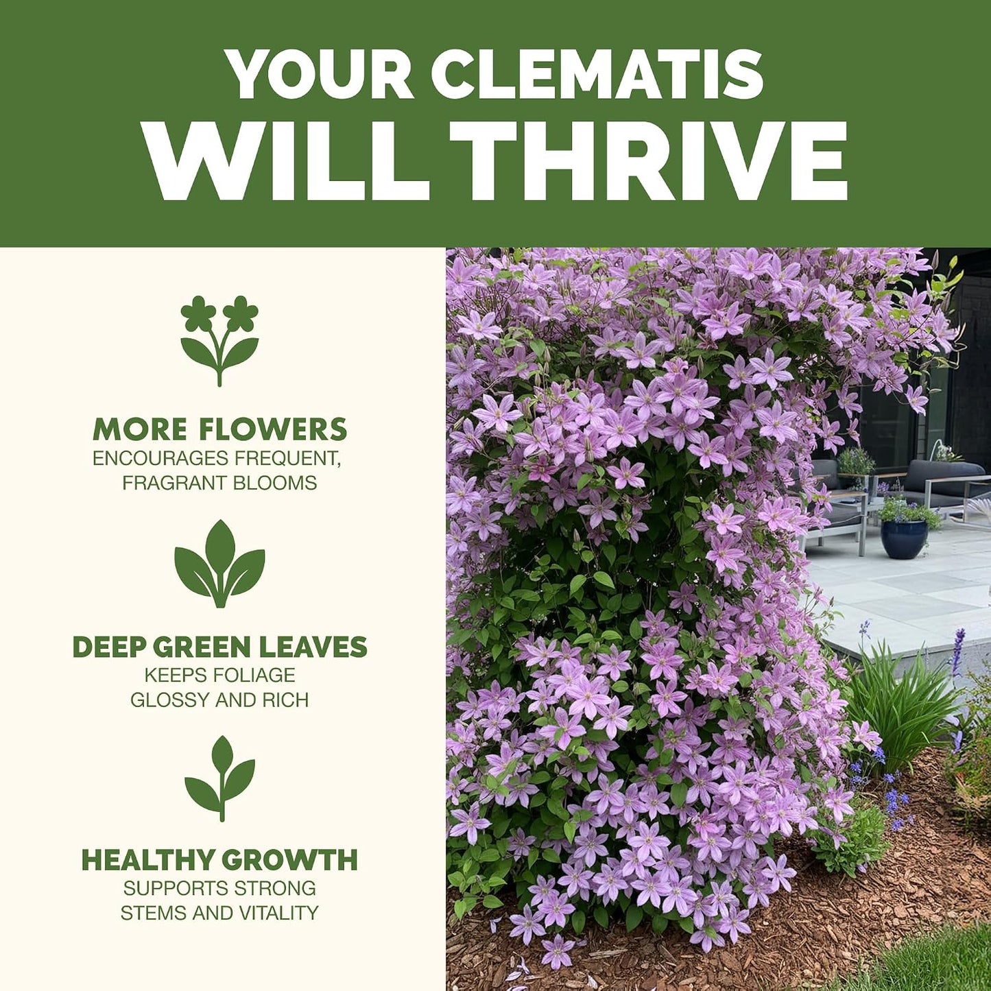 Alimento líquido para clematis 8oz más floraciones