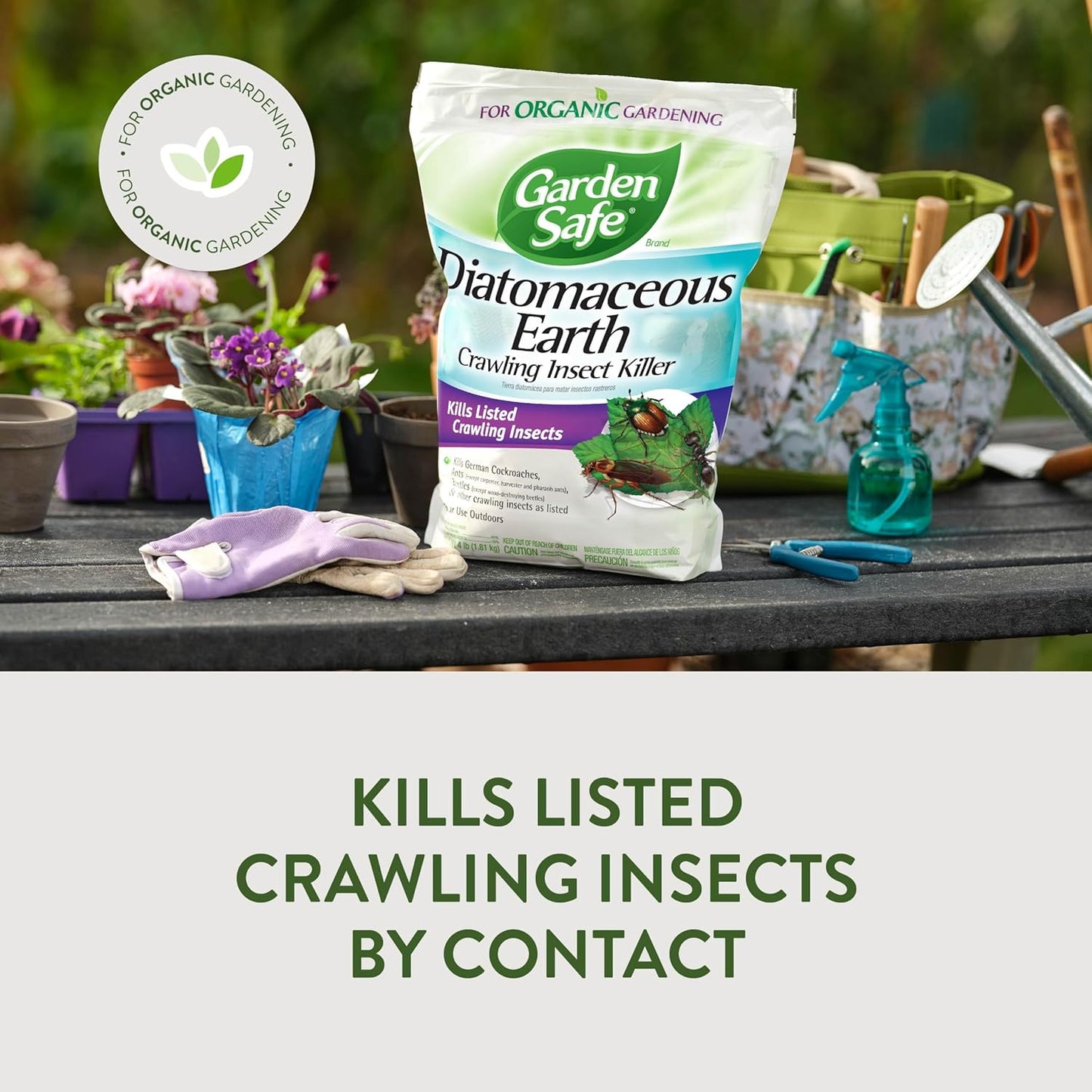Asesino insectos rastreros tierra diatomeas 4lb interiores