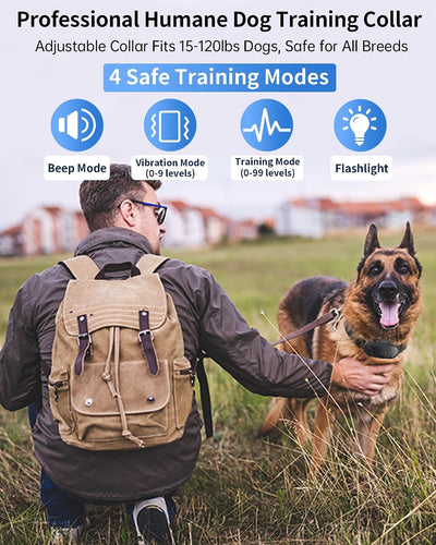 Collar entrenamiento perros con control remoto IPX7 2000 pies