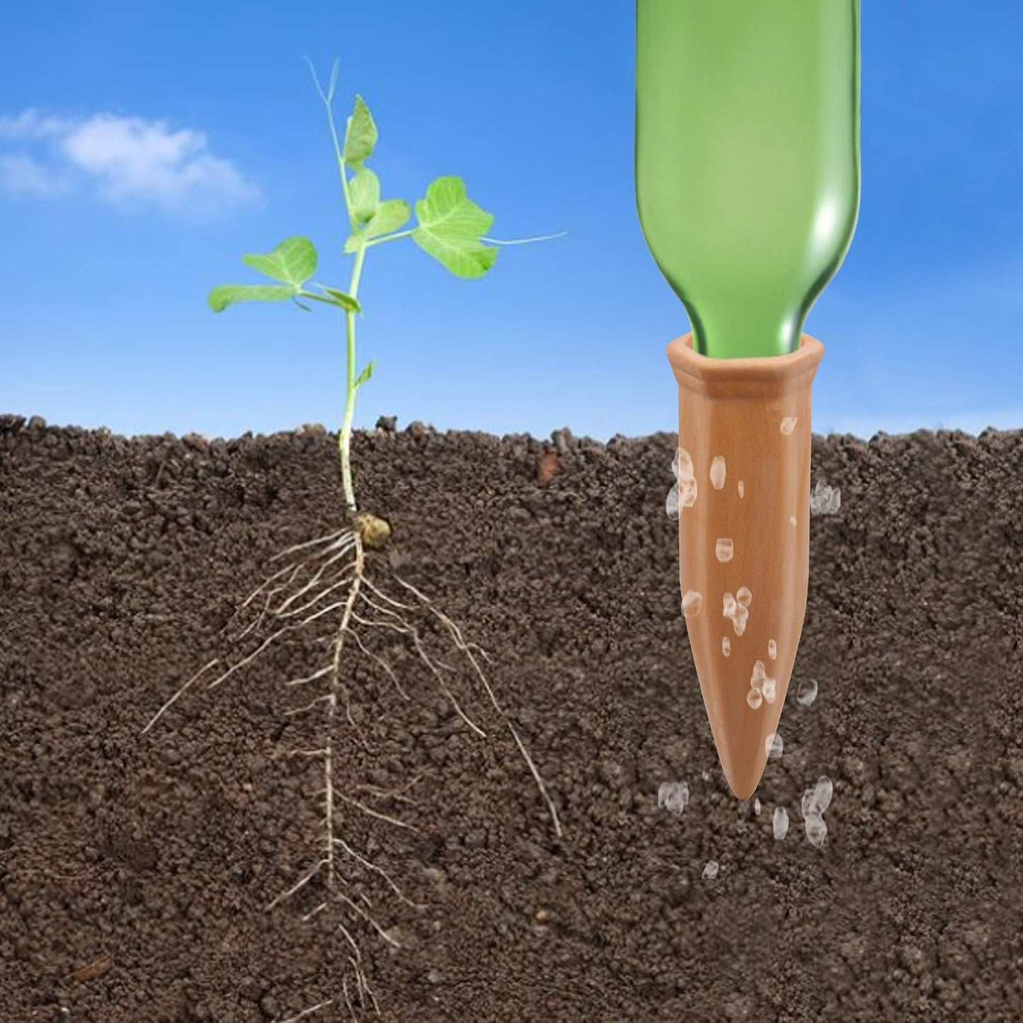8 dispositivos riego automático terracota para plantas