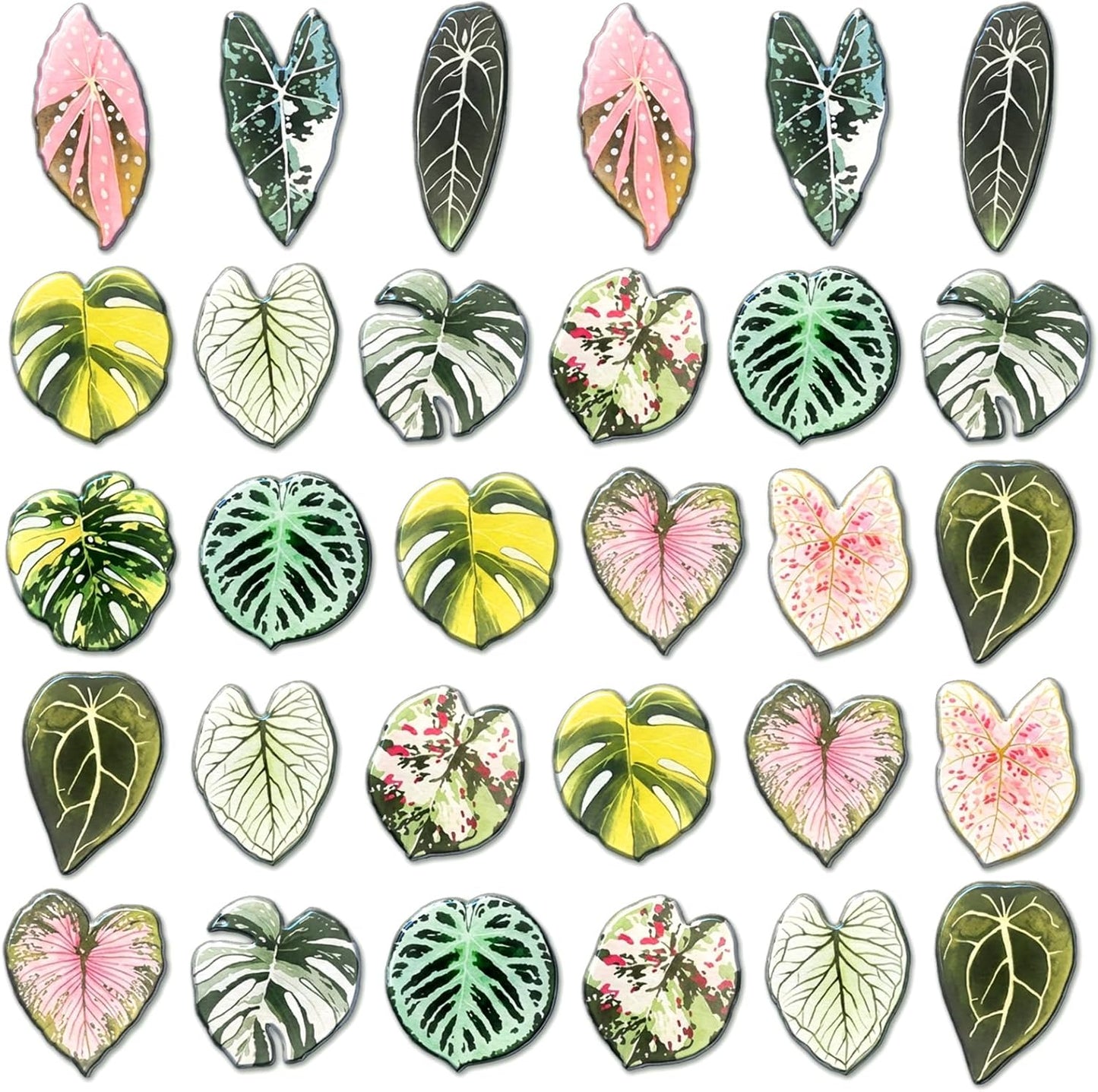 Imanes de nevera en forma de hoja tropical 3D para cocina y hogar