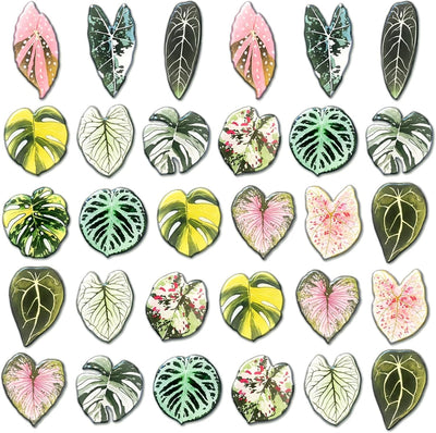 Imanes de nevera en forma de hoja tropical 3D para cocina y hogar