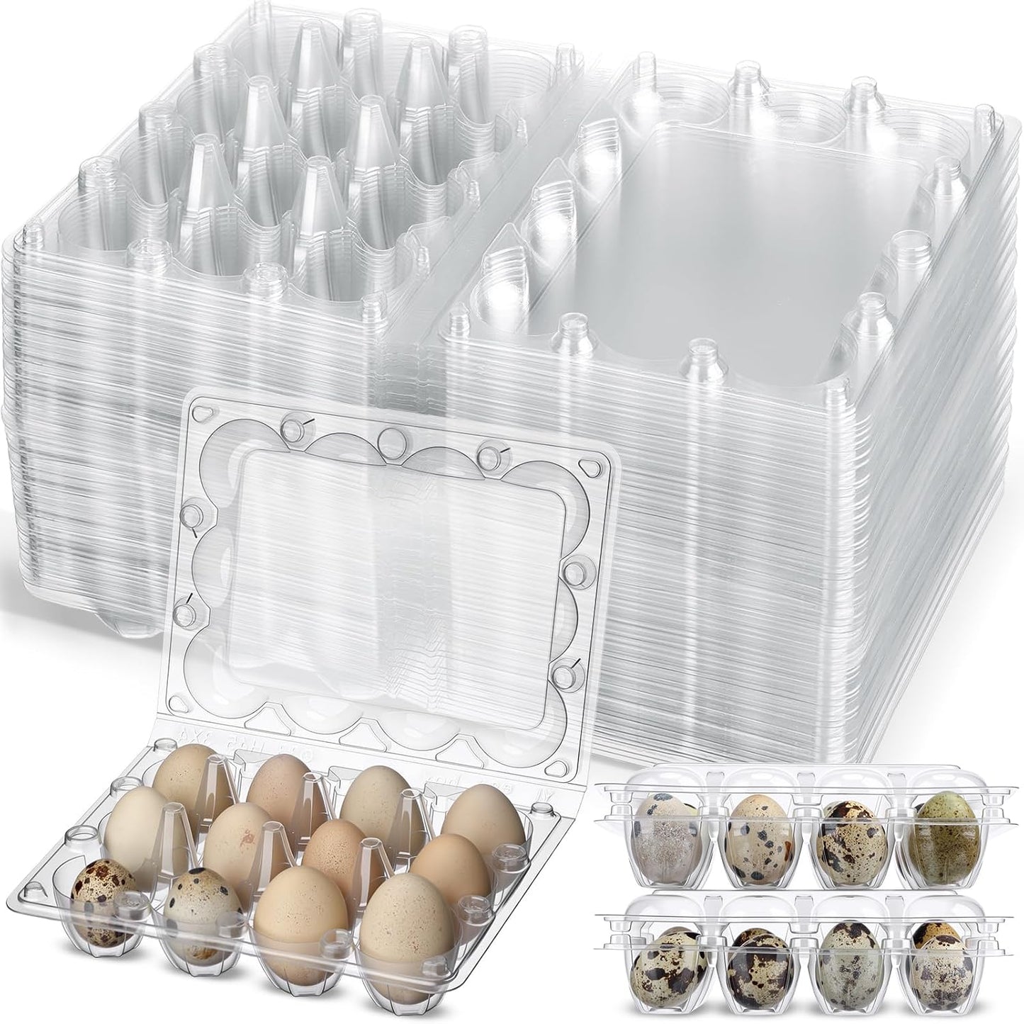 60 Cajas Huevos Codorniz 12 Rejillas Plástico Transparente