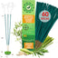 60 Pzas Repelente Mosquitos Citronela Natural para Camping