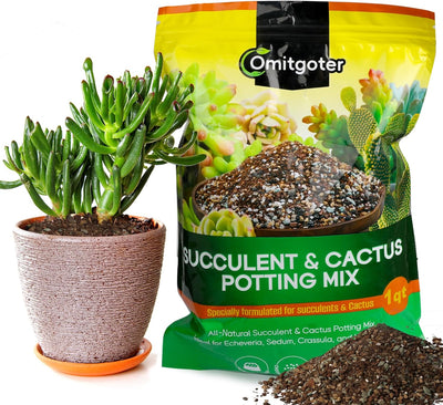 Mezcla tierra para suculentas cactus palmas y citricos 1qt