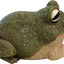 Figura sapo jardín con compartimento secreto